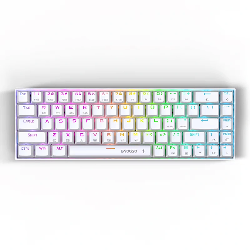 68 klavišų RGB belaidė BT 2,4 GHz mechaninė žaidimų klaviatūra